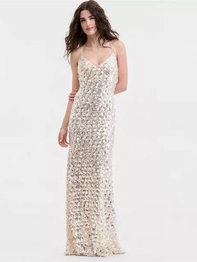 sheer tank dress Mesh Sleeveless Maxi Dress | Ann Alder